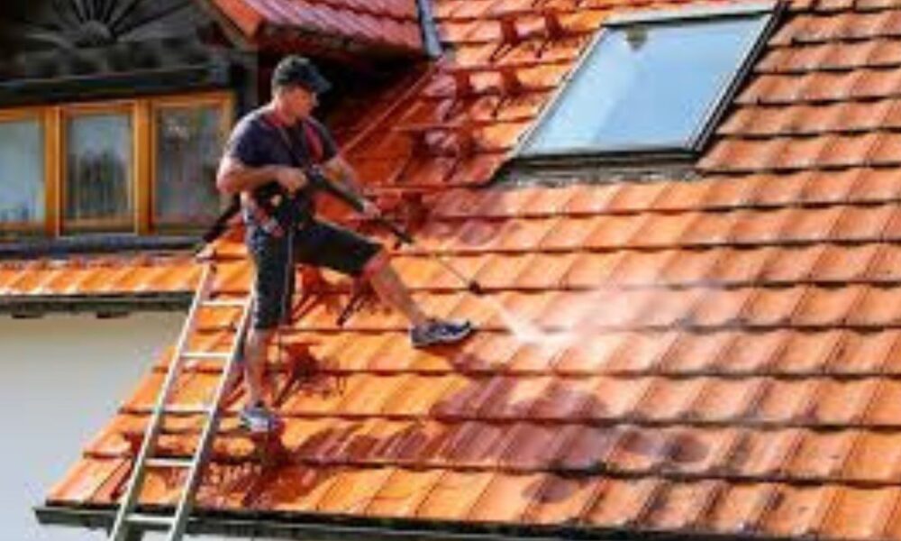 Roof Cleaning