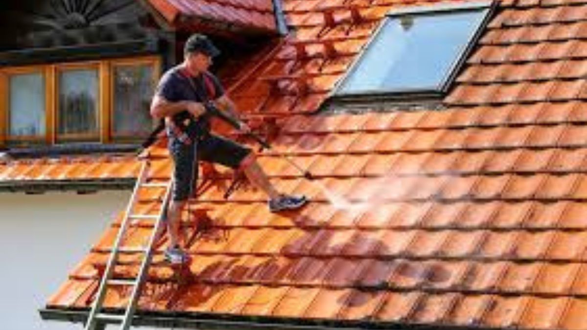 Roof Cleaning