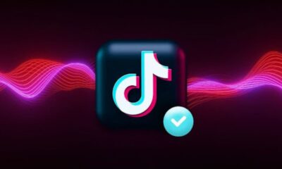 TikTok Followers