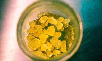 Solventless Concentrates