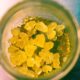 Solventless Concentrates