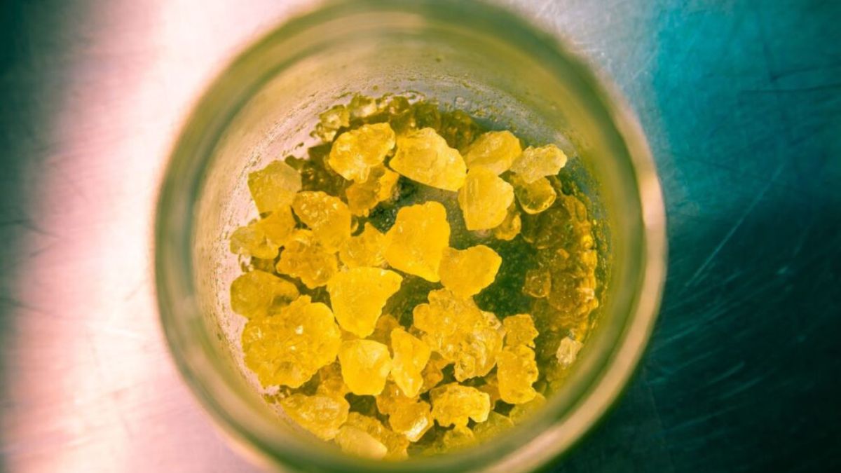 Solventless Concentrates