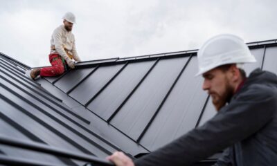 Roof Cleaning