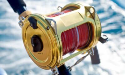 Saltwater Fishing Reels