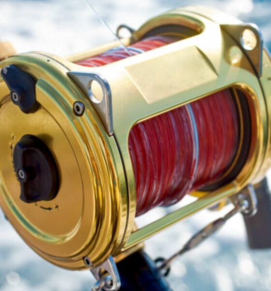 Saltwater Fishing Reels