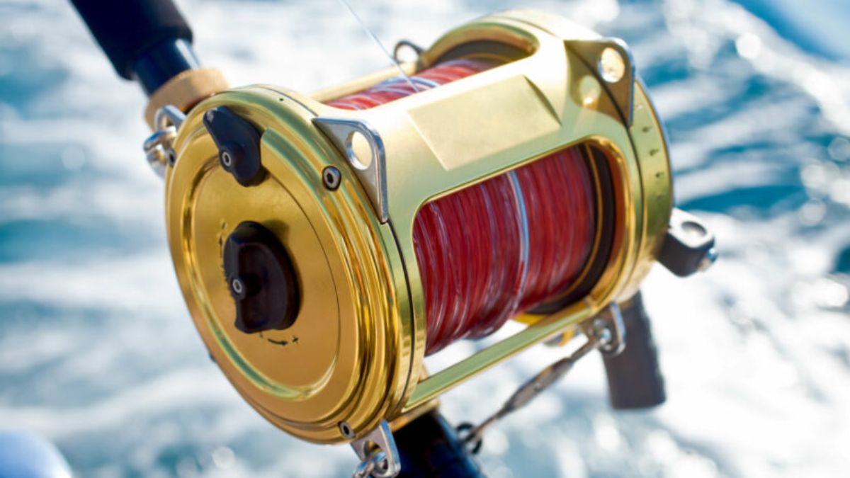 Saltwater Fishing Reels